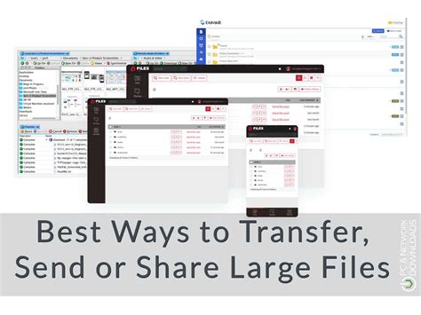 file share mega|Best Ways to Send Large Files Online .